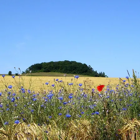 Mit Traumhaftem Meerblick - Haus Am 05 Appartamento *